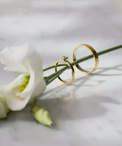 Plain Ring